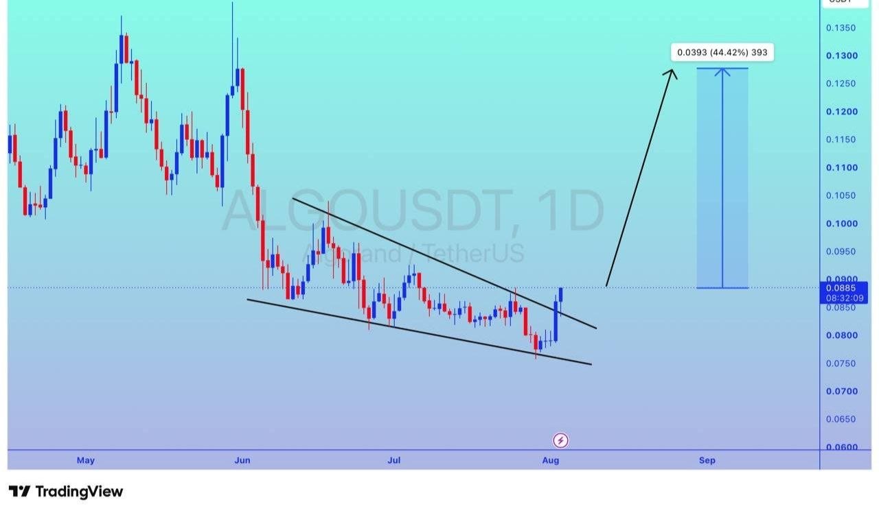 ALGOUSDT LONG signal screenshot by Binance Spot & FutuRes Signals 🐋