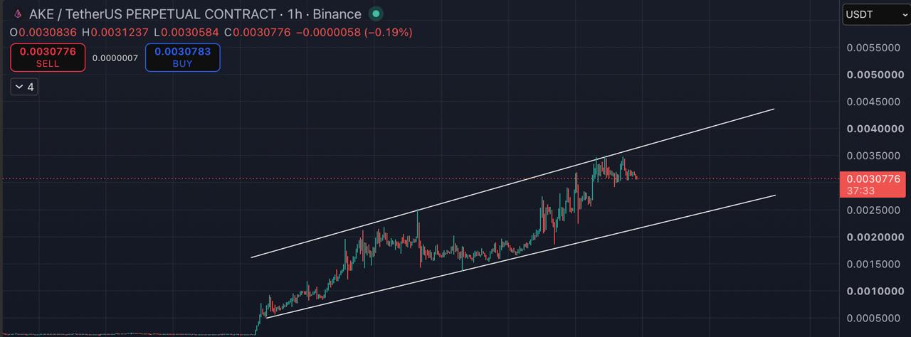 AKEUSDT SHORT signal screenshot by Blockchain Usa Official ( Binance ) 🐋