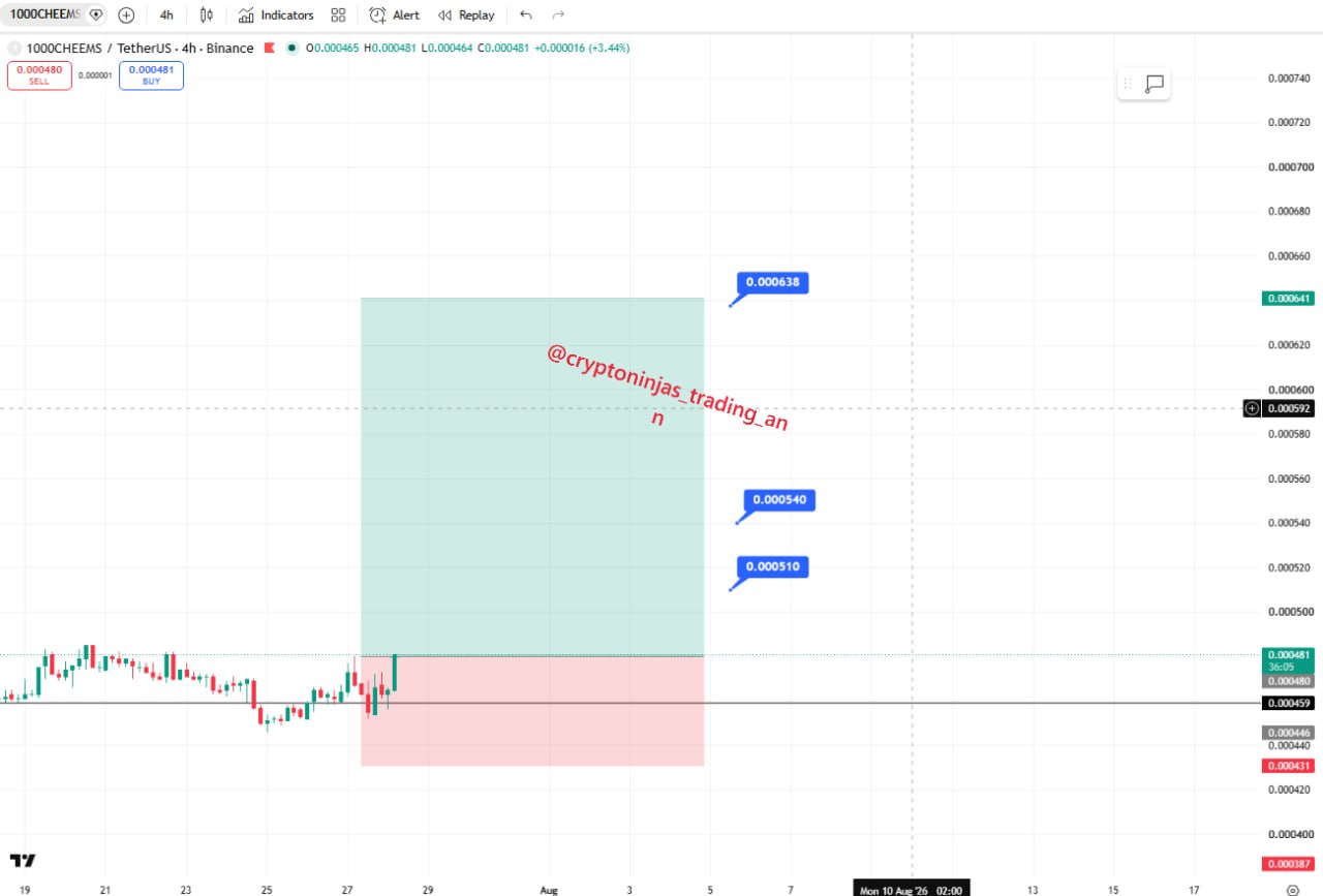 1000CHEEMSUSDT LONG signal screenshot by Crypto Ninjas Trading 🥷🏿