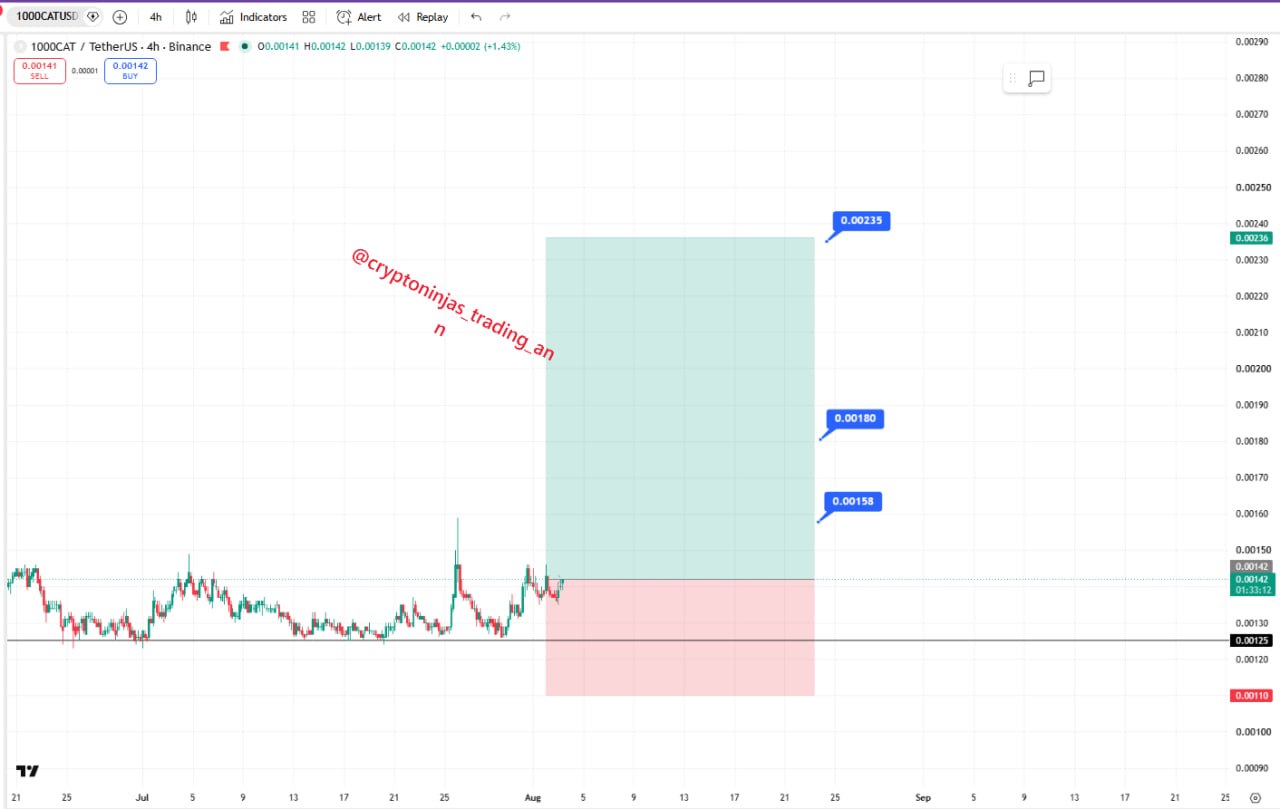 1000CATUSDT LONG signal screenshot by Crypto Ninjas Trading 🥷🏿