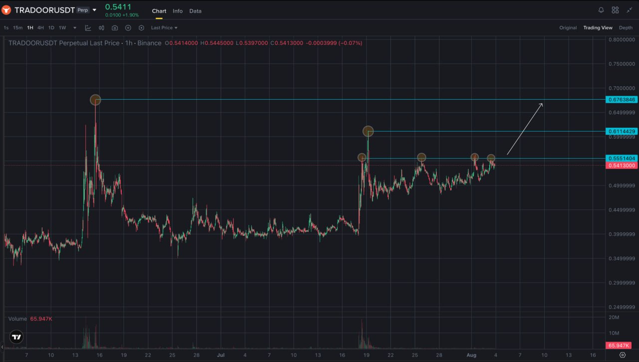 TRADOORUSDT LONG signal screenshot by Trader signals RU