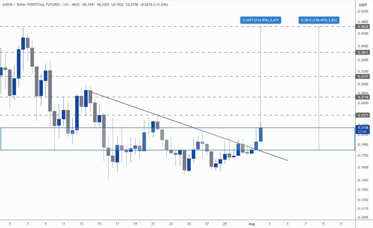 ANSEMUSDT LONG signal screenshot by Kim & Crypto