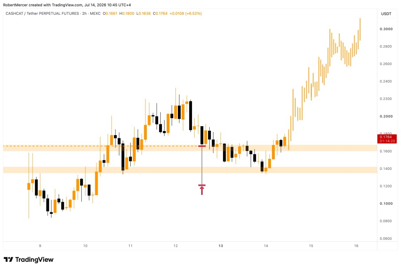 CASHCATUSDT LONG signal screenshot by Klondike (Crypto Rush) ⚠️