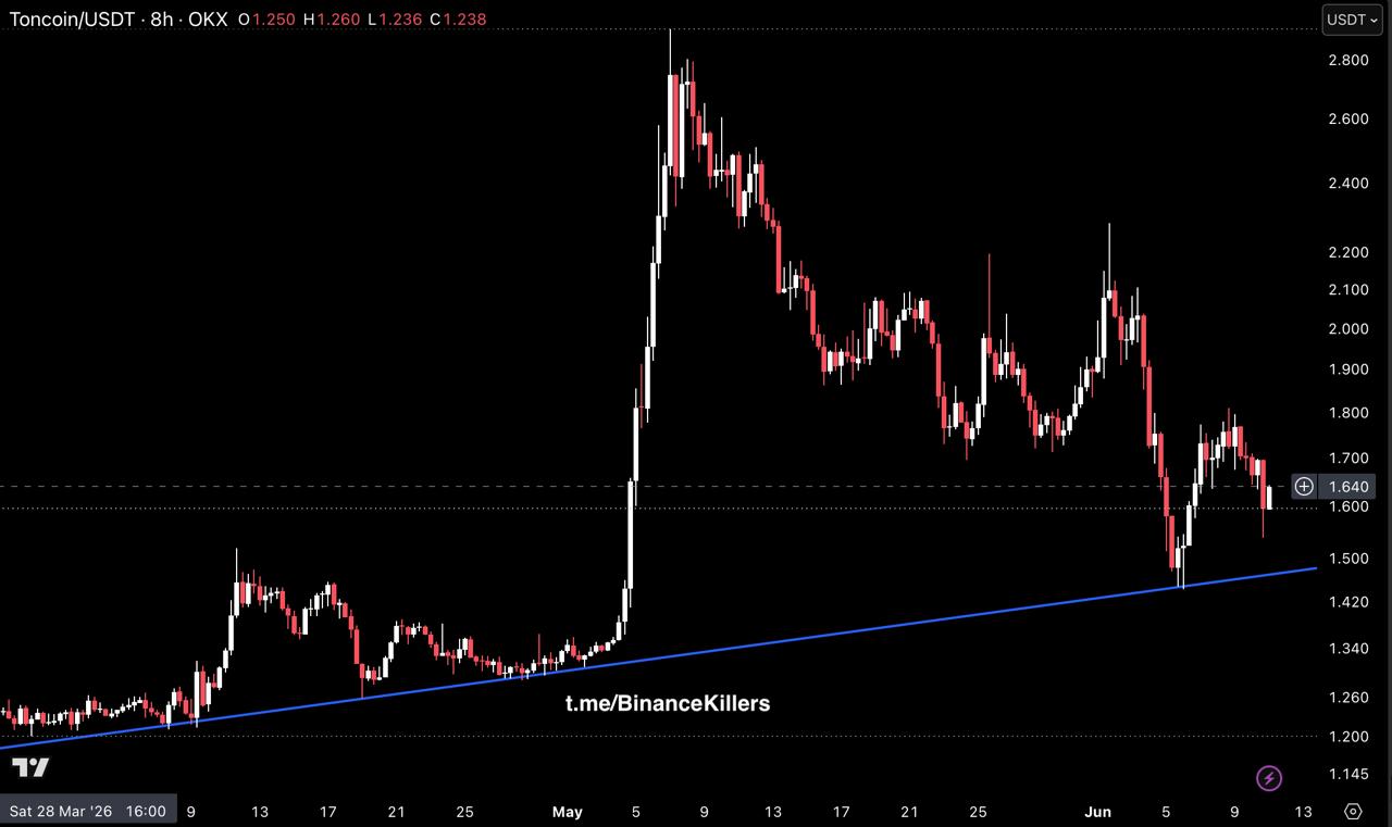 TONUSDT LONG signal screenshot by Binance Killers