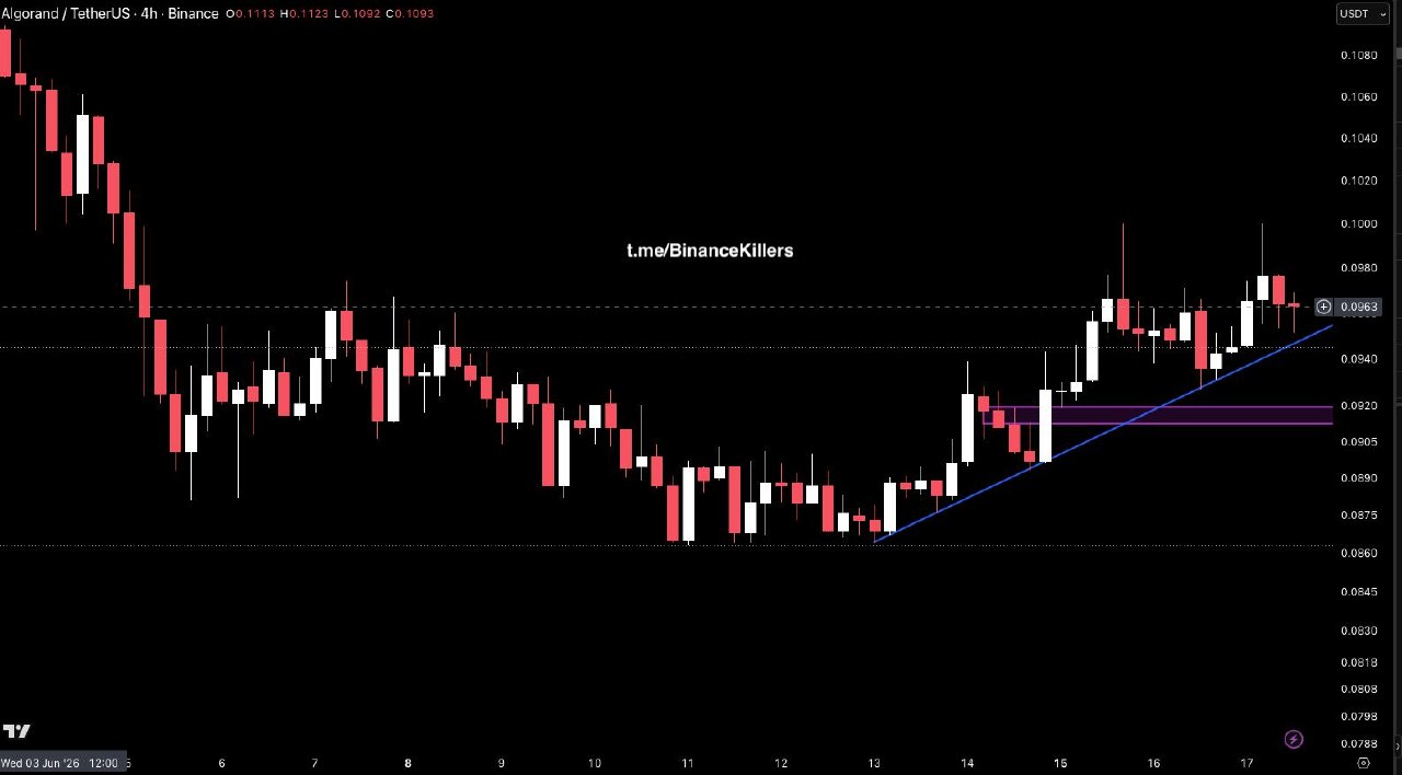 ALGOUSDT LONG signal screenshot by Binance Killers