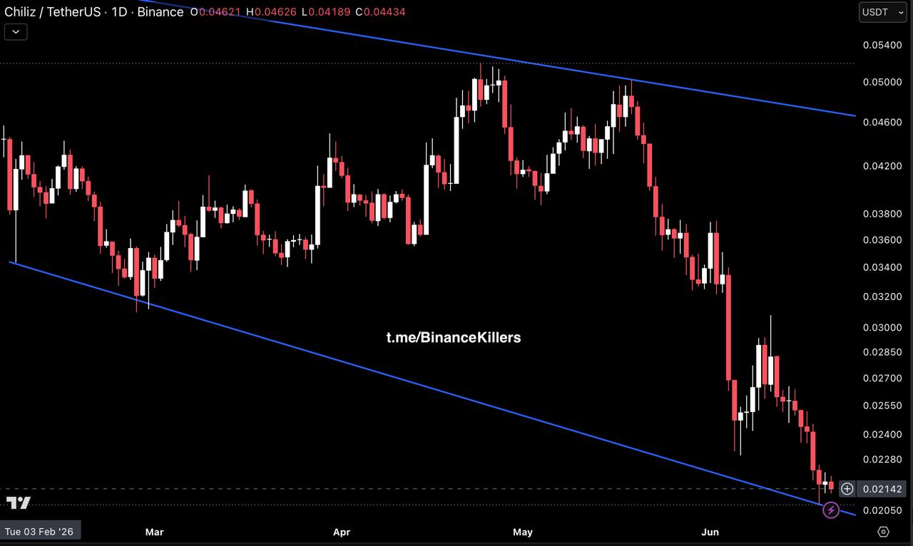 CHZUSDT LONG signal screenshot by Binance Killers