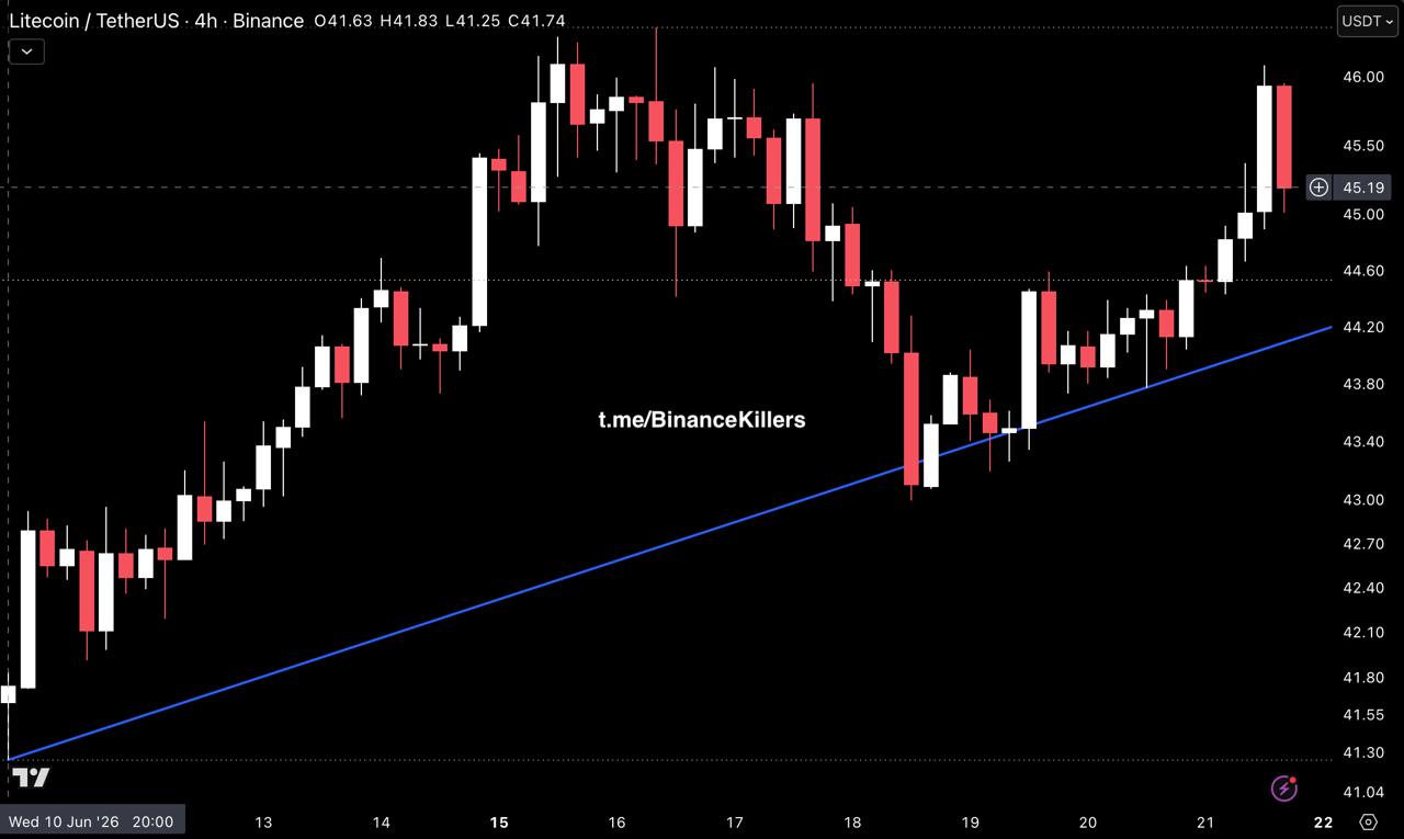 LTCUSDT LONG signal screenshot by Binance Killers
