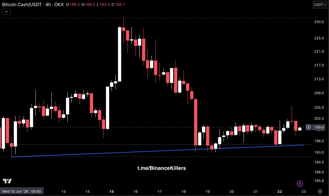 BCHUSDT LONG signal screenshot by Binance Killers