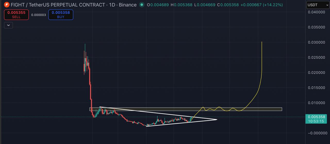 FIGHTUSDT LONG signal screenshot by Blockchain Usa Official ( Binance ) 🐋