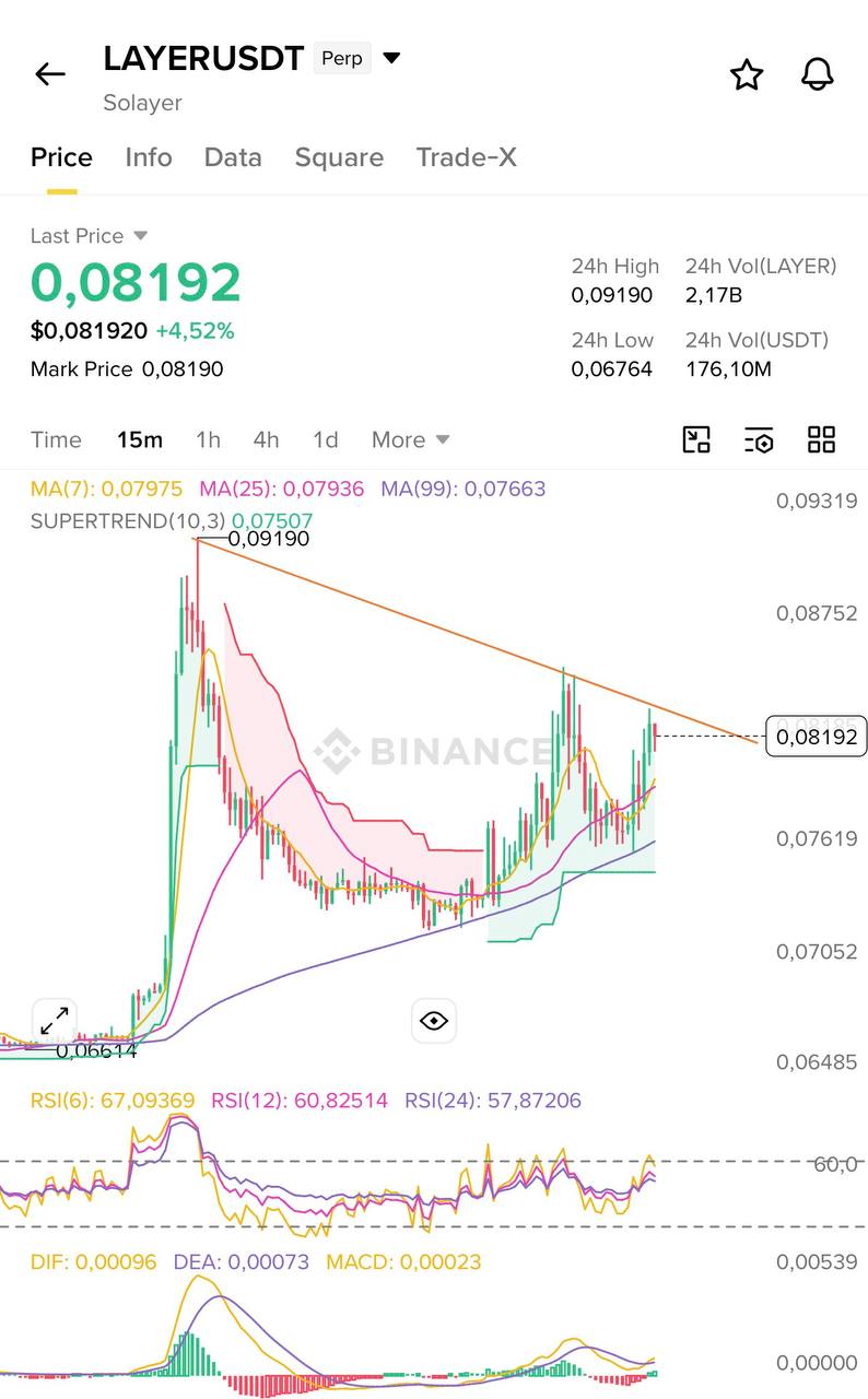 SOLAYERUSDT LONG signal screenshot by Blockchain Usa Official ( Binance ) 🐋