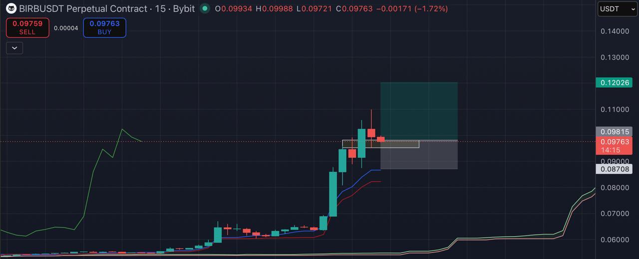 BIRDUSDT LONG signal screenshot by Blockchain Usa Official ( Binance ) 🐋