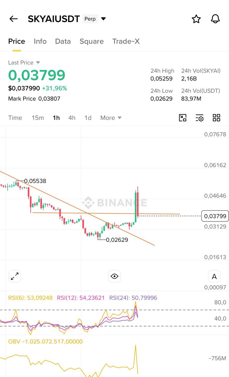 SKYAIUSDT LONG signal screenshot by Blockchain Usa Official ( Binance ) 🐋