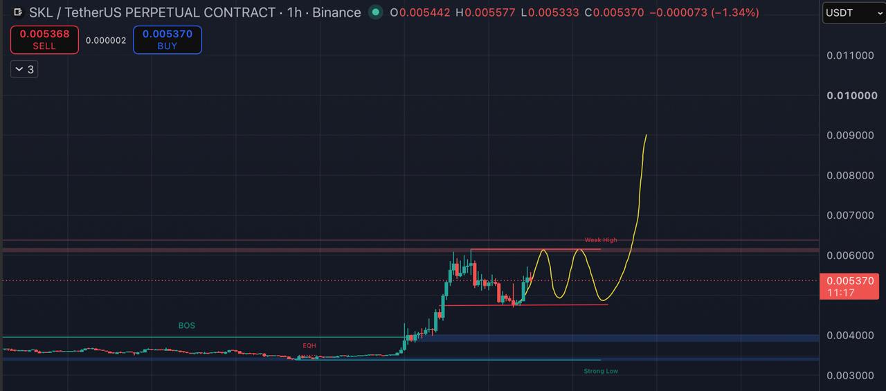 SKLUSDT LONG signal screenshot by Blockchain Usa Official ( Binance ) 🐋
