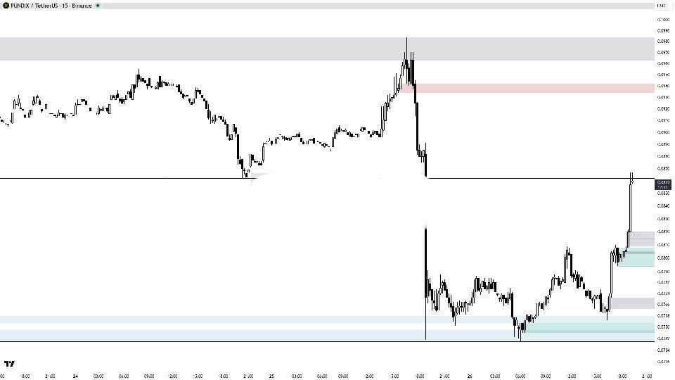 PUNDIXUSDT LONG signal screenshot by Binance Spot & FutuRes Signals 🐋