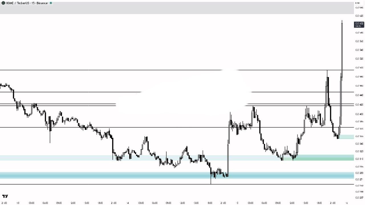 HOMEUSDT LONG signal screenshot by Binance Spot & FutuRes Signals 🐋