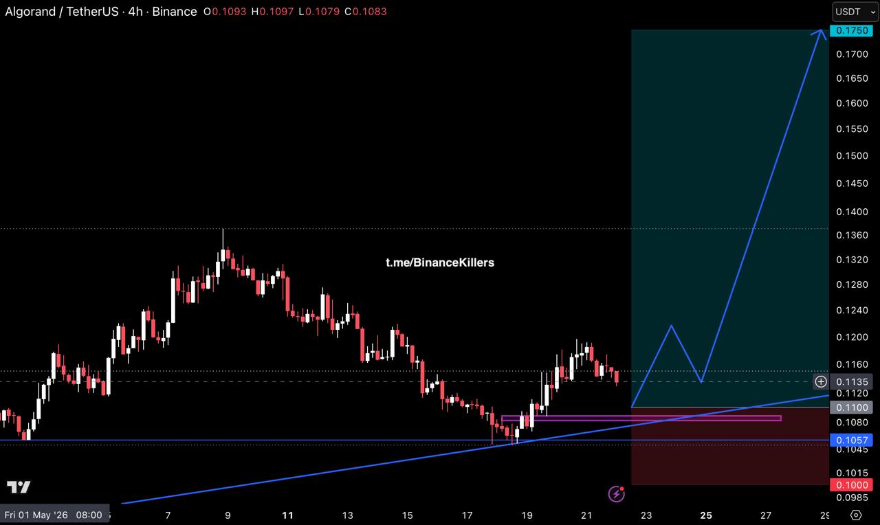 ALGOUSDT LONG signal screenshot by Binance Killers Vip Channel