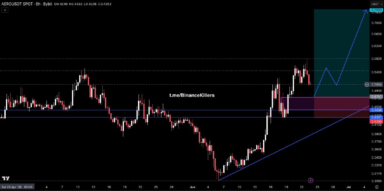 AEROUSDT LONG signal screenshot by Binance Killers Vip Channel