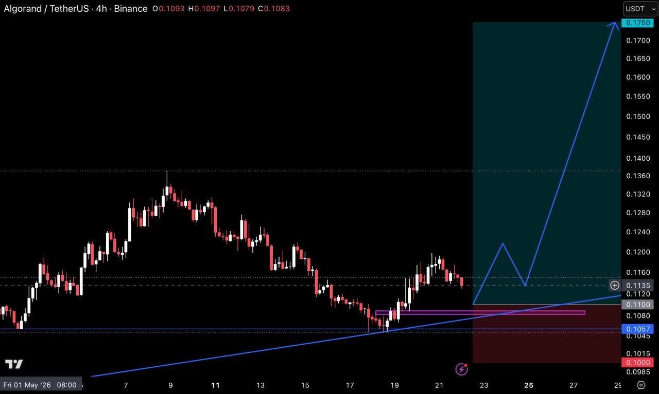 ALGOUSDT LONG signal screenshot by Crypto Pirates Channel ®️