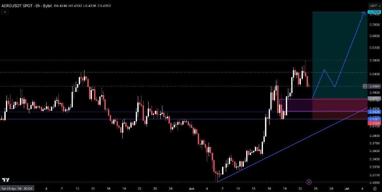 AEROUSDT LONG signal screenshot by Crypto Pirates Channel ®️