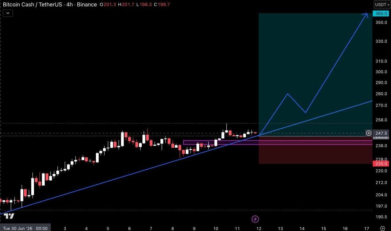 BCHUSDT LONG signal screenshot by Crypto Pirates Channel ®️