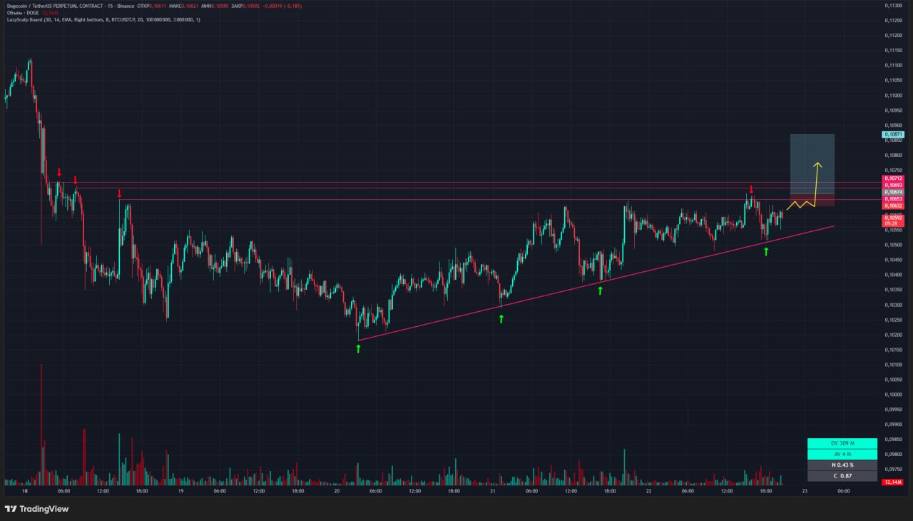 DOGEUSDT LONG signal screenshot by Trader signals RU