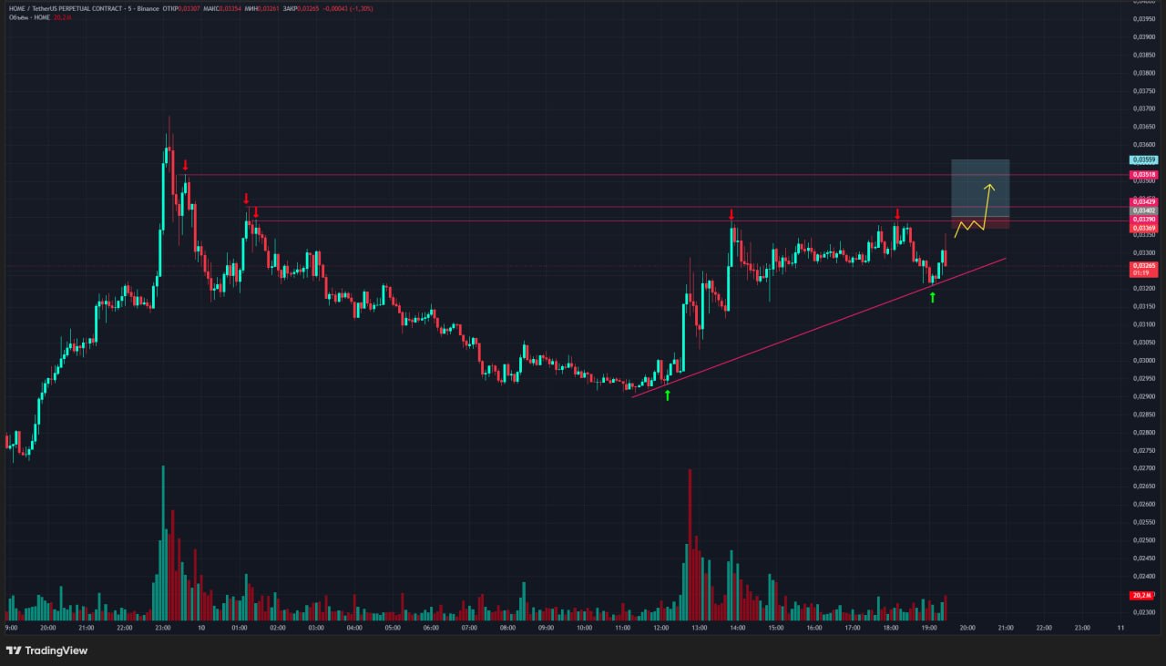 HOMEUSDT LONG signal screenshot by Trader signals RU