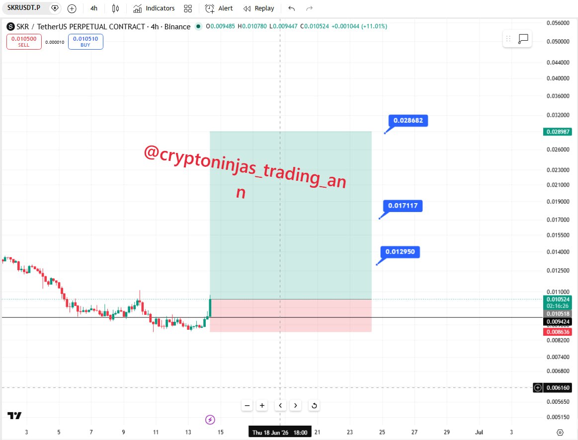 SKRUSDT LONG signal screenshot by Crypto Ninjas Trading 🥷🏿