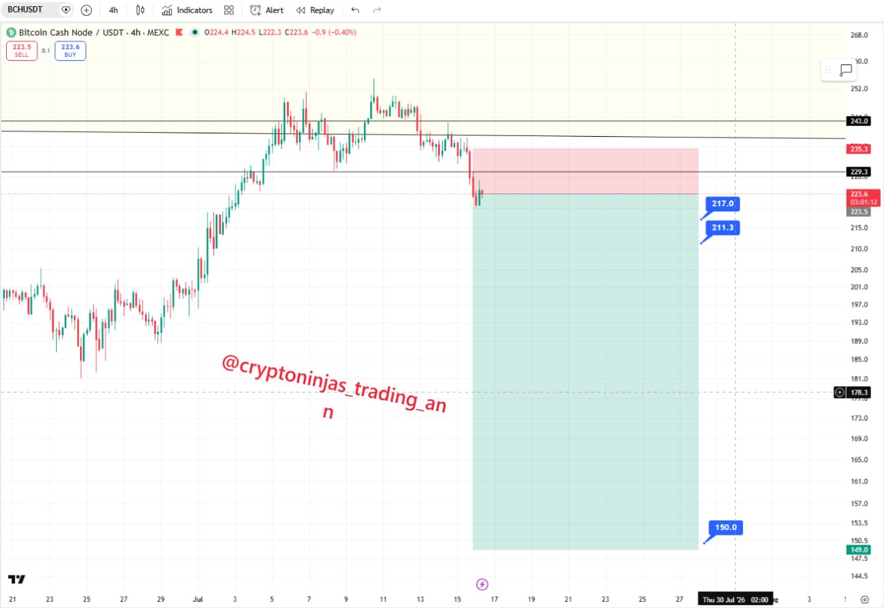 BCHUSDT SHORT signal screenshot by Crypto Ninjas Trading 🥷🏿