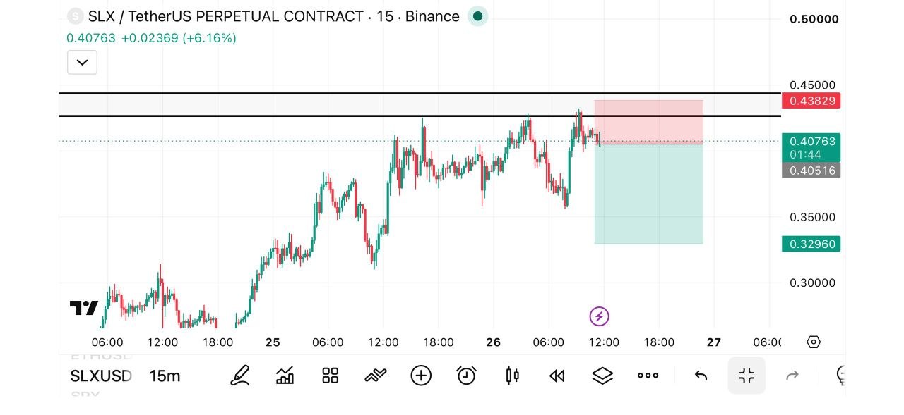 SLXUSDT SHORT signal screenshot by Fat pig signalso
