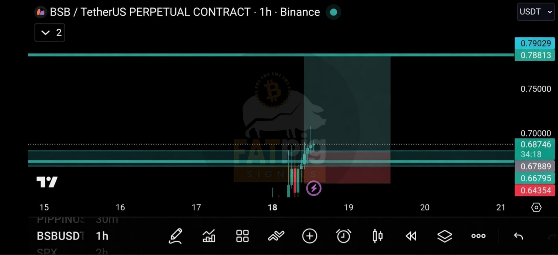 BSBUSDT LONG signal screenshot by Fat Pig Signals OFFICIAL
