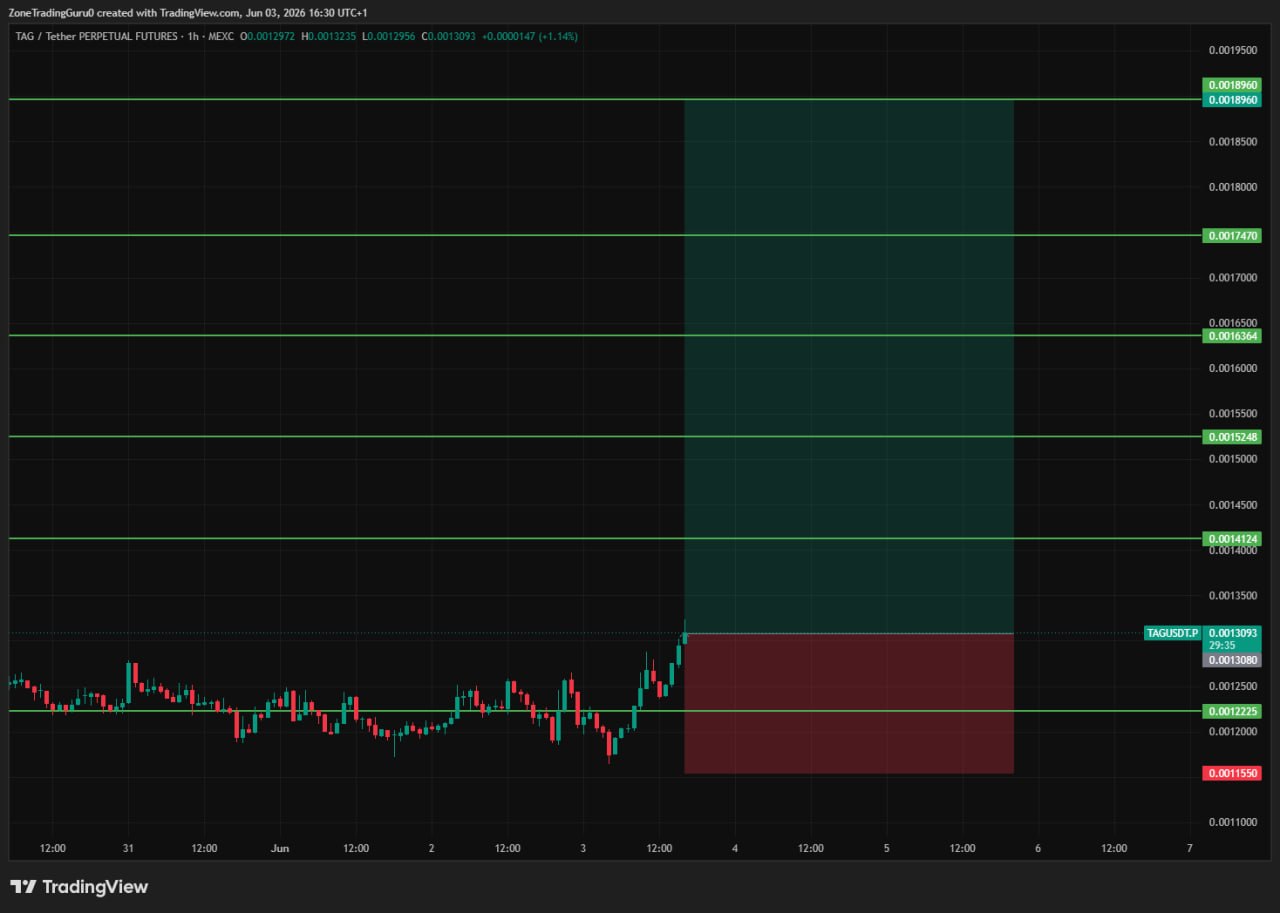TAGUSDT LONG signal screenshot by Evening Trader Group