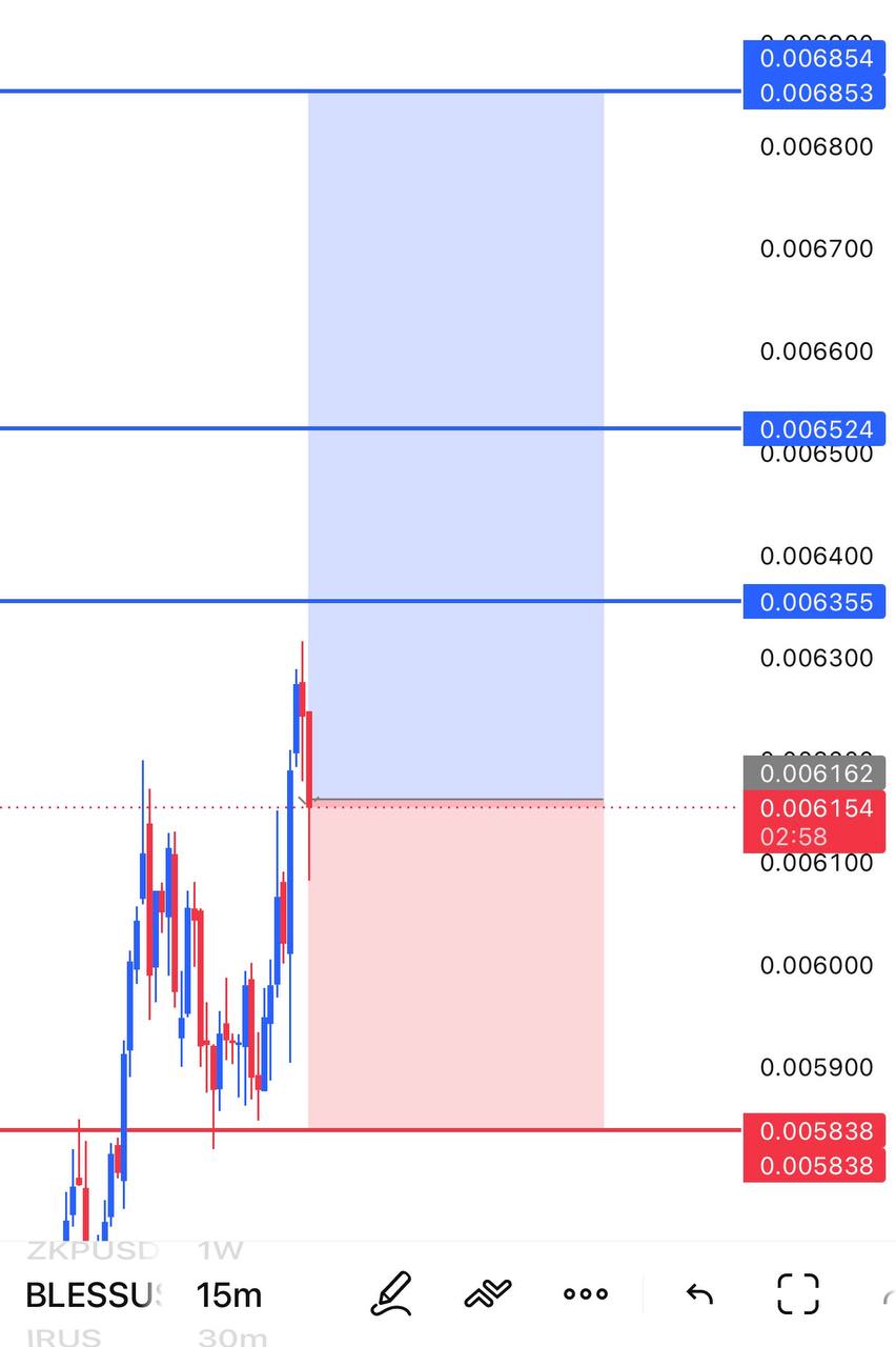 BLESSUSDT LONG signal screenshot by INVEX GROUP
