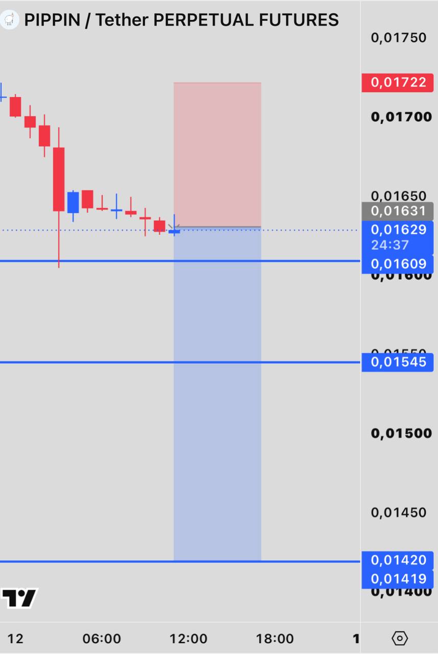 PIPPINUSDT SHORT signal screenshot by INVEX GROUP